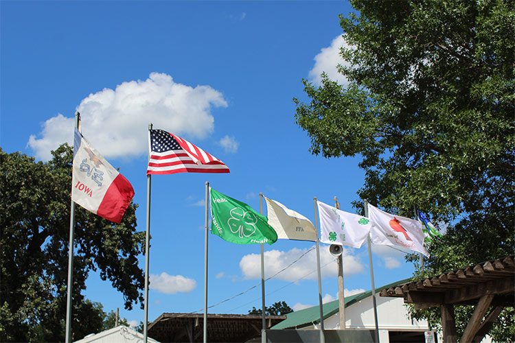 flags in a courtyard