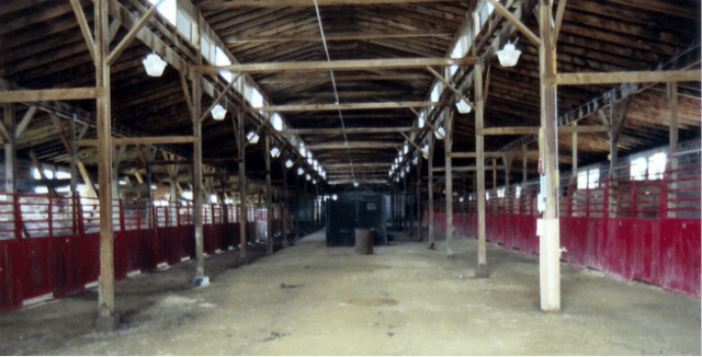 inside of horse barn