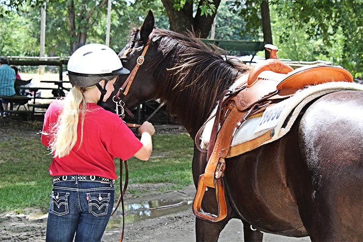 young girl taking care of a horse