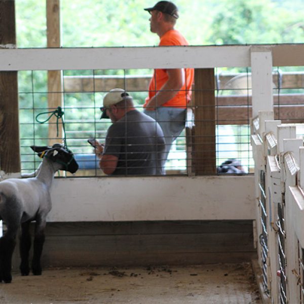 men talking in a barn